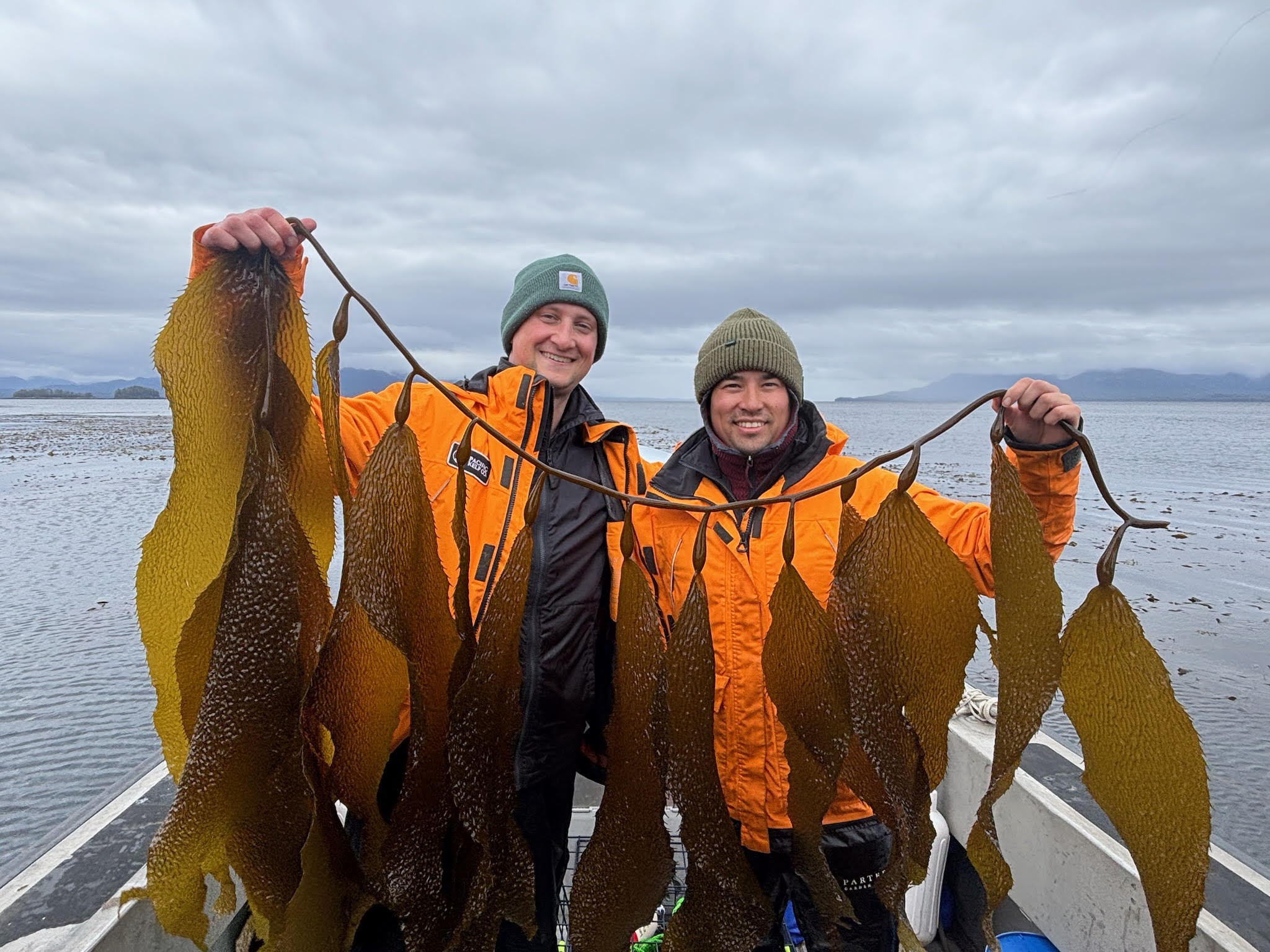 PKC cofounders holding kelp